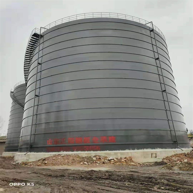 打安镇3万吨大型钢板库