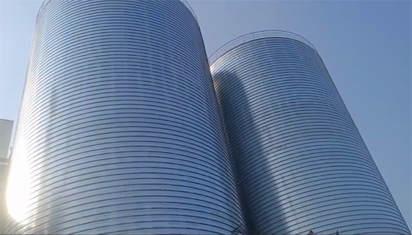 打安镇2座混凝土高架卷板仓